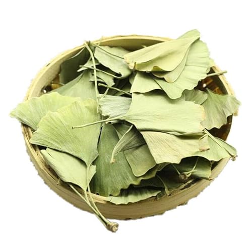 Bio-Ginkgo-Biloba-Blatt-Tee Ginkgo-Tee Grüner Kräutertee China-Spezialitätstee (100g) von 通用