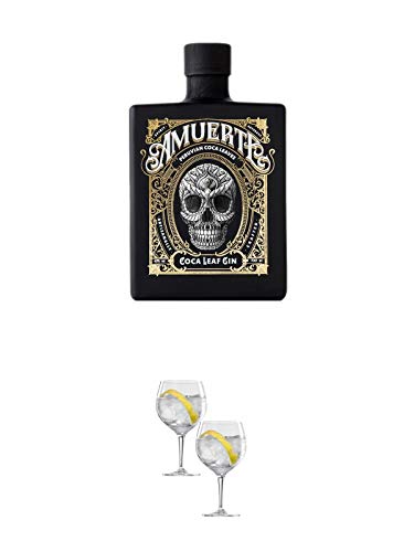 Amuerte Coca Leaf Gin 0,7 Liter BLACK Edition + Spiegelau Gin & Tonic 4390179 2 Gläser von 1a Schiefer