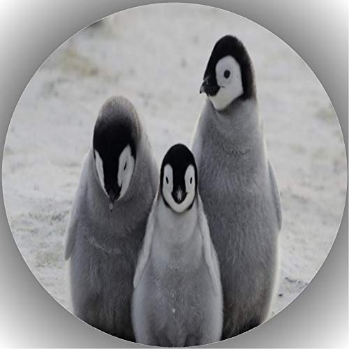Premium Esspapier Tortenaufleger Tortenbild Geburtstag Pinguine L7 von 24