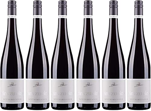 A. Diehl Spätburgunder eins zu eins Rotwein Wein trocken QbA Deutschland I Versanel Paket (6 x 0,75l) von A. Diehl