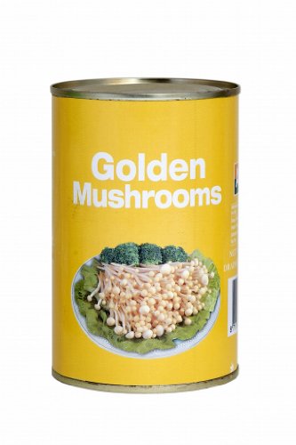 GOLDEN MUSHROOMS Goldene Pilze, 425 g von AEF