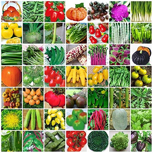 AGROBITS Bunter Mai 10: VARIIES vegableHeirloom re-Paket Top-Qualität 061-120 von AGROBITS