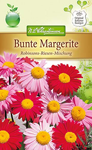 AGROBITS Coful Marguerite 'Söhne Big' - Coccineum, ca. 80 Siehe von AGROBITS