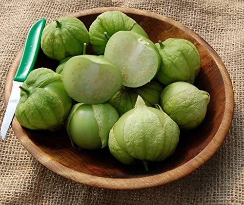 AGROBITS Tomatillo Toma Verde - 10 + - EXOTISCH und FINE! von AGROBITS