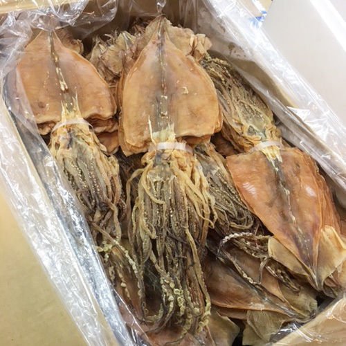 Japanische SURUME IKA 1kg ruckartig getrockneter Tintenfisch SAKE Japan von AKIBA KING