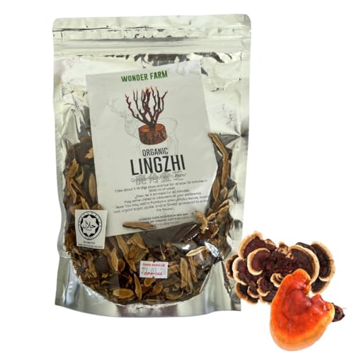 Teeaufguss - Getrocknetes Ganoderma Lucidum Holz - Lingzhi organisch - 100g von ALIBOOSTER