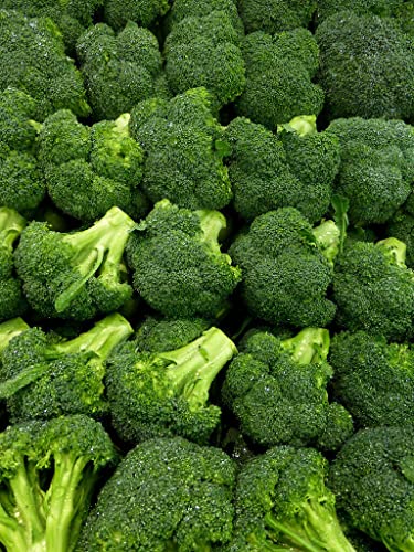 100 Organic Calabrese Broccoli Seeds-BRASSICA OLERACEA-Italian Green / ( V072) von ALYKE