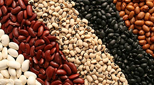 ALYKE 50 seeds of Haricot Bean - PHASEOLUS VULGARIS - Navy Bean von ALYKE