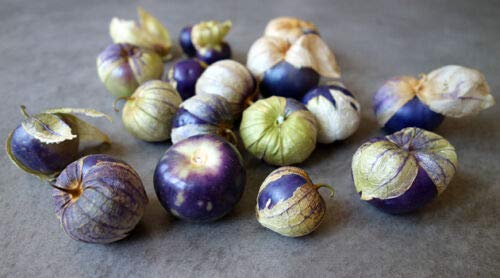 PURPLE TOMATILLO SEEDS * HEIRLOOM * SALSA * 20 Count Pkt . von ALYKE