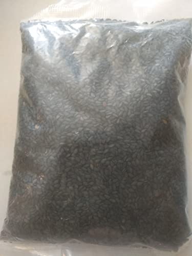 Sesame Seeds (Black). 1 LB/ 1 pound von ALYKE