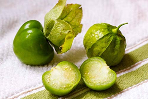 TOMA VERDE TOMATILLO SEEDS * HEIRLOOM * SALSA * 20 Count Pkt . von ALYKE