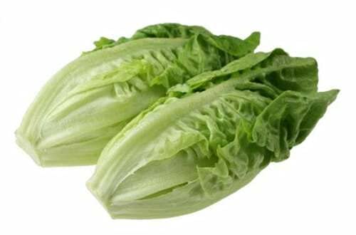 Vegetable - Lettuce - Little Gem - 3000 Seeds - Salad Leaves - First Class von ALYKE