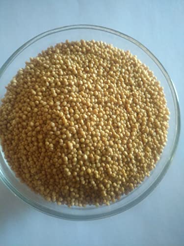 organic Yellow Mustard Seed. 1 LB/ 1 pound von ALYKE