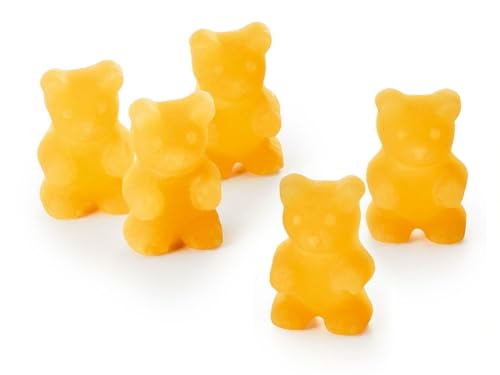 Tee Bären® "Bitterlimonade" einzigartige Fruchtgummi mit 10% Fruchtgehalt aus Fruchtsaftkonzentrat, zum Zubereiten eines Heißgetränks oder einfach nur zum Vernaschen (1000 g) von AMA-Feinkost