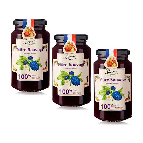 Lucien Georgelin | Marmellata More Selvatiche 100% Zucchero Frutta | Marmellata More Selvatiche | Prodotti per Cucina 100% Frutta - 3 x 300 Gr von ANTICO CAFFE' NOVECENTO