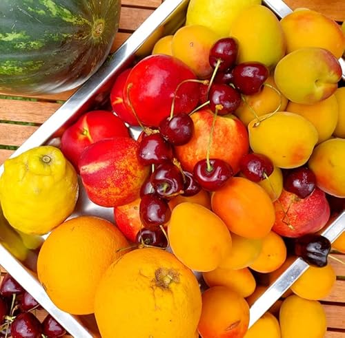 ARISTOS ca 3 kg gemischte Sommerfrüchte - Fruchtkiste für Büro mit Trauben, Pfirsichen, Nektarinen und Saftorangen aus Griechenland von ARISTOS