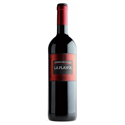 (DO Ribera del Duero) Vino Tinto Bodegas Arzuaga la Planta 75cl von ARZUAGA