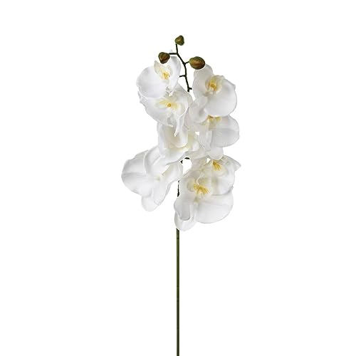 Atmosphera - Künstlicher Orchideenstamm - H108 cm - Weiß von ATMOSPHERA CREATEUR D'INTERIEUR