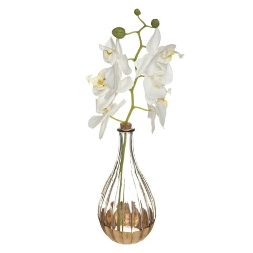 Atmosphera - Künstliche Orchidee "Edi" - Glasvase - H40 cm - Weiß von ATMOSPHERA CREATEUR D'INTERIEUR