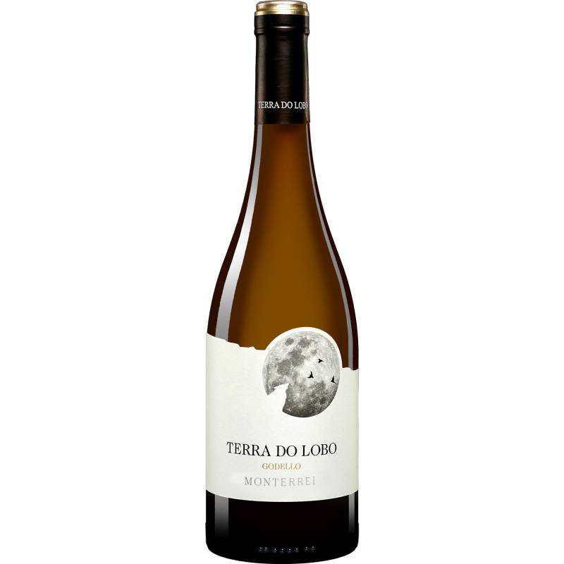 Terra do Lobo 2023  0.75L 13.5% Vol. Weißwein Trocken aus Spanien von Adegas Quinta Do Buble