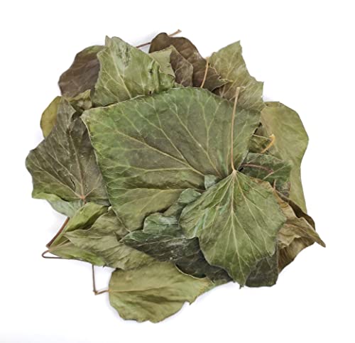 Getrocknete Englischer Efeu Blätter 85g - 1,95Kg Hedera Helix (85 gramm) von AgoraMarket