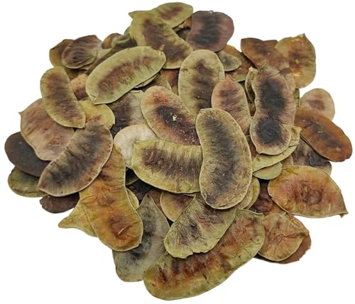 Getrocknete Senna Schoten Kräutertee 85g - 1,95 KG Prämie Qualität Senna Alexandrina (460 gramm) von AgoraMarket