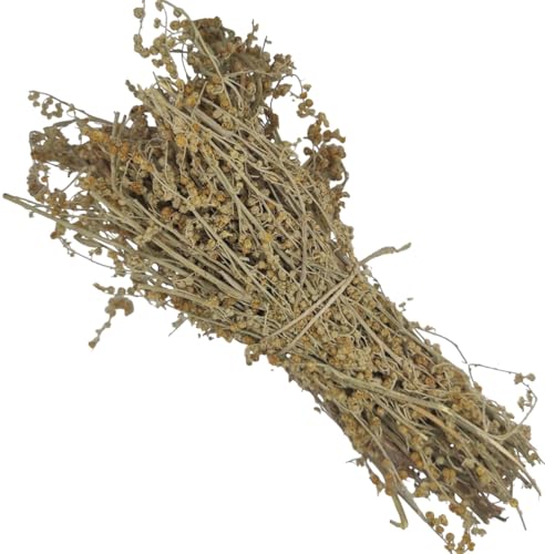 Getrockneter Wermut Bündel Beifuss 220g - 1,95Kg - Klasse A - Artemisia Absinthium (1950 gramm) von AgoraMarket