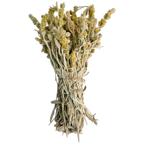 Griechischer Bergtee Malotira 220g - 1,95Kg Sideritis syriaca Premium-Qualität (1950 grams) von AgoraMarket