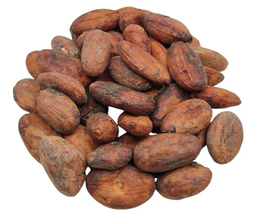 Rohe Kakaobohnen 85g - 1,95Kg Theobroma Cacao (1950 gramm) von AgoraMarket