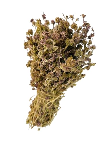 Getrocknete Pennyroyal Minze Ganze Bündel 220 Gramm - 950 Gramm Klasse A Mentha Pulegium (460 gramm) von AgoraMarket