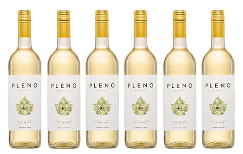 6x 0,75l - 2023er - Pleno - Blanco - semi-dry - Navarra D.O.P. - Spanien - Weißwein halbtrocken von Agronavarra - Pleno