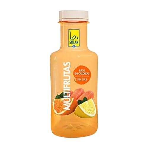 Getränke und Mixer 24 Einheiten Box Solán Bisolan Multifruta PET Drittel-Liter-Flasche 33 cl von Aguas de Solán de Cabras SA