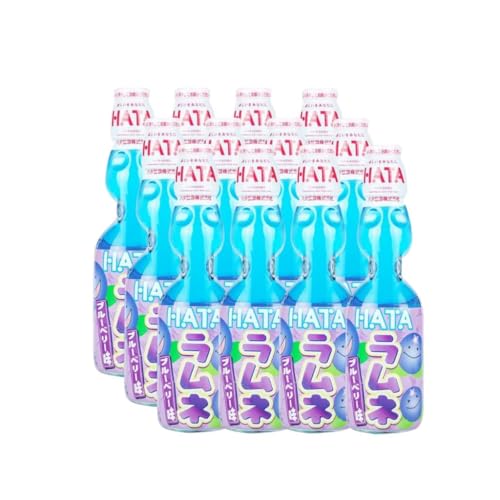 Hata Blueberry 200ml (Japan) 12er-Pack inkl. Pfand von Al Duchan