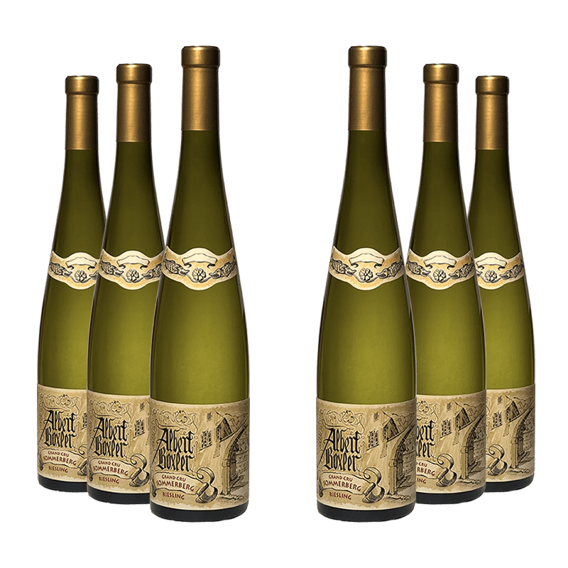 Albert Boxler : Riesling Grand cru Sommerberg 2016 von Albert Boxler