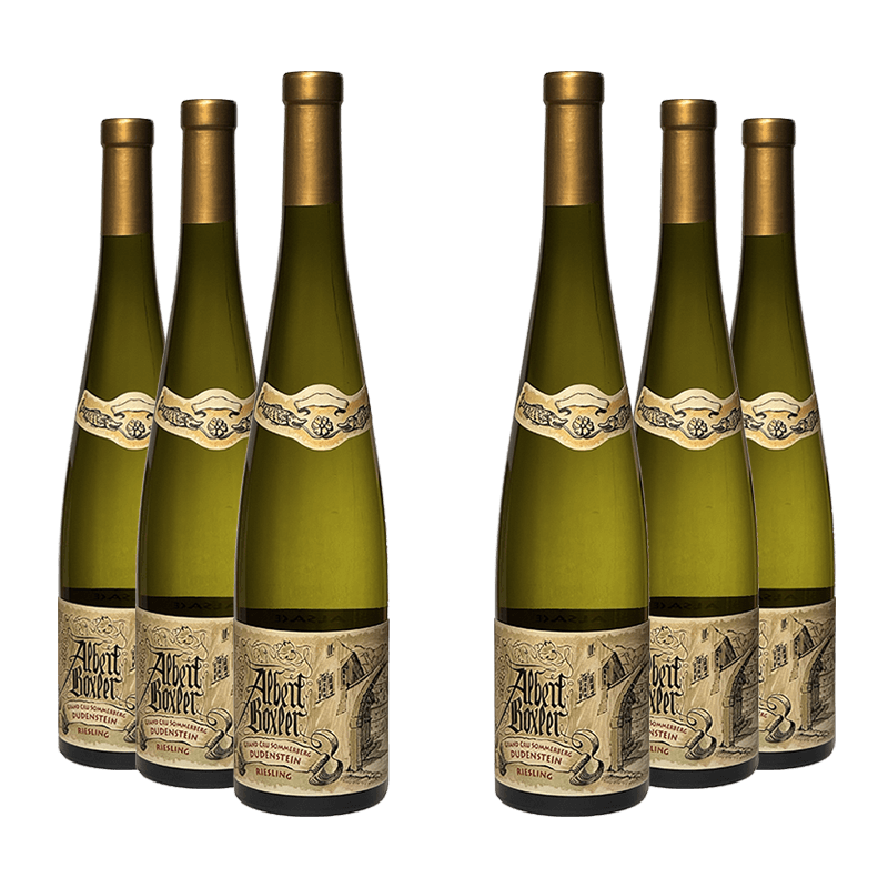 Albert Boxler : Riesling Grand cru Sommerberg "Dudenstein" 2023 von Albert Boxler