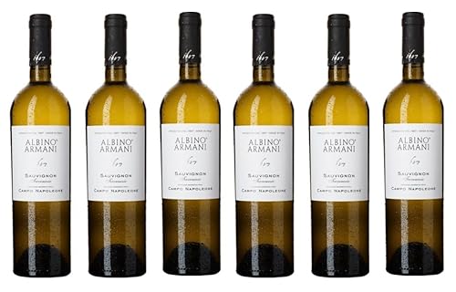 6x 0,75l - 2023er - Albino Armani - Campo Napoleone - Sauvignon - Trevenezie I.G.P. - Italien - Weißwein trocken von Albino Armani