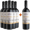 Alcesti 2022 5+1 Paket Nesos Nero D'Avola Sicilia DOC von Alcesti