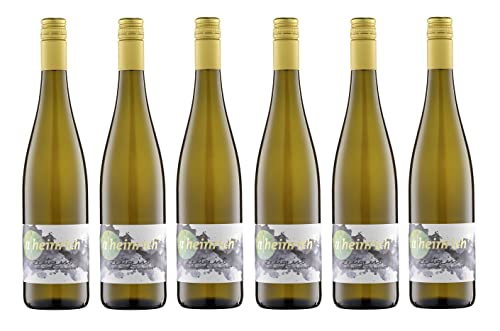 6x 0,75l - 2021er - Alexander Heinrich - Zeitgeist - Cabernet Blanc - Qualitätswein Württemberg - Deutschland - Weißwein trocken von Alexander Heinrich