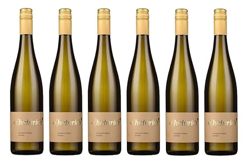 6x 0,75l - 2022er - Alexander Heinrich - Sauvignon Blanc - Qualitätswein Württemberg - Deutschland - Weißwein trocken von Alexander Heinrich