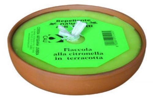 FIACC.TERRACOTT.CITRONELLA CM18 CAU von Alimentari