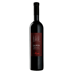 Allegrini : La Poja Corvina Veronese 2018 von Allegrini