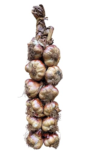 Geräucherter Knoblauch - Zopf ca. 1kg. aus Frankreich von Alli Oli