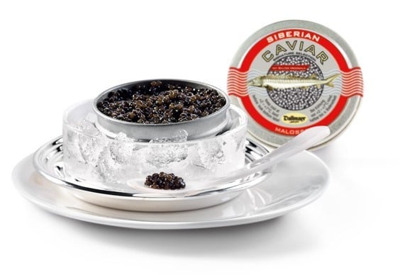 Siberian Malossol Caviar Signature 1,8kg Selektion Dallmayr von Altonaer Kaviar Import Haus