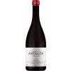 Altos de Antillón 2021 Pagos de Antillon Parraleta Somontano DO trocken von Altos de Antillón