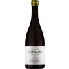 Altos de Antillón 2022 Pagos de Antillon Garnacha Blanca Somontano DO trocken von Altos de Antillón