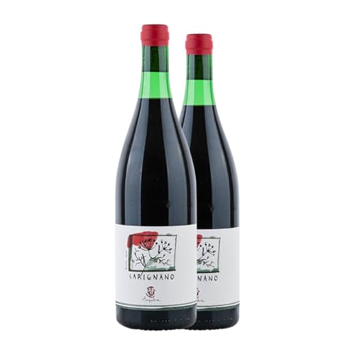 Ampeleia Carignan Toscana 75 cl Rotwein (Karton mit 2 Flaschen von 75 cl) von Ampeleia