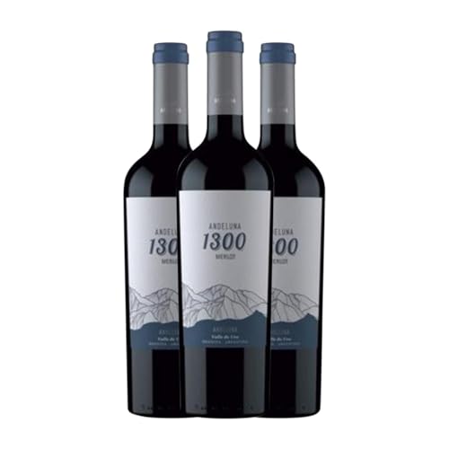 Andeluna 1300 Merlot Mendoza 75 cl Rotwein (Karton mit 3 Flaschen von 75 cl) von Andeluna Cellars