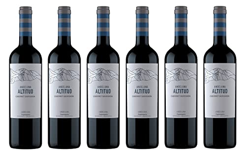 6x 0,75l - 2020er - Andeluna - Altitud - Cabernet Sauvignon - Tupungato - Mendoza - Argentinien - Rotwein trocken von Andeluna