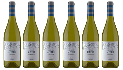 6x 0,75l - 2020er - Andeluna - Altitud - Chardonnay - Valle de Uco - Mendoza - Argentinien - Weißwein trocken von Andeluna