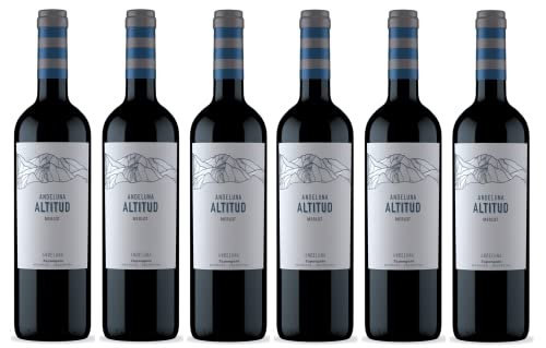 6x 0,75l - 2020er - Andeluna - Altitud - Merlot - Tupungato - Mendoza - Argentinien - Rotwein trocken von Andeluna